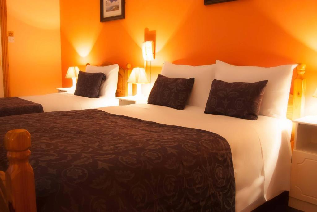 Mccarthy'S Lodge B&B Westport Esterno foto